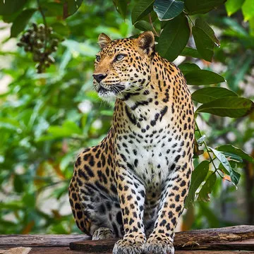 平台团队成员形象图